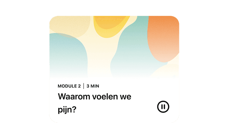 Patiënten oefenen bewezen strategieën en activiteiten